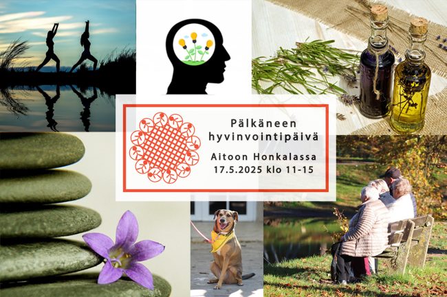 Pälkäneen hyvinvointipäivä